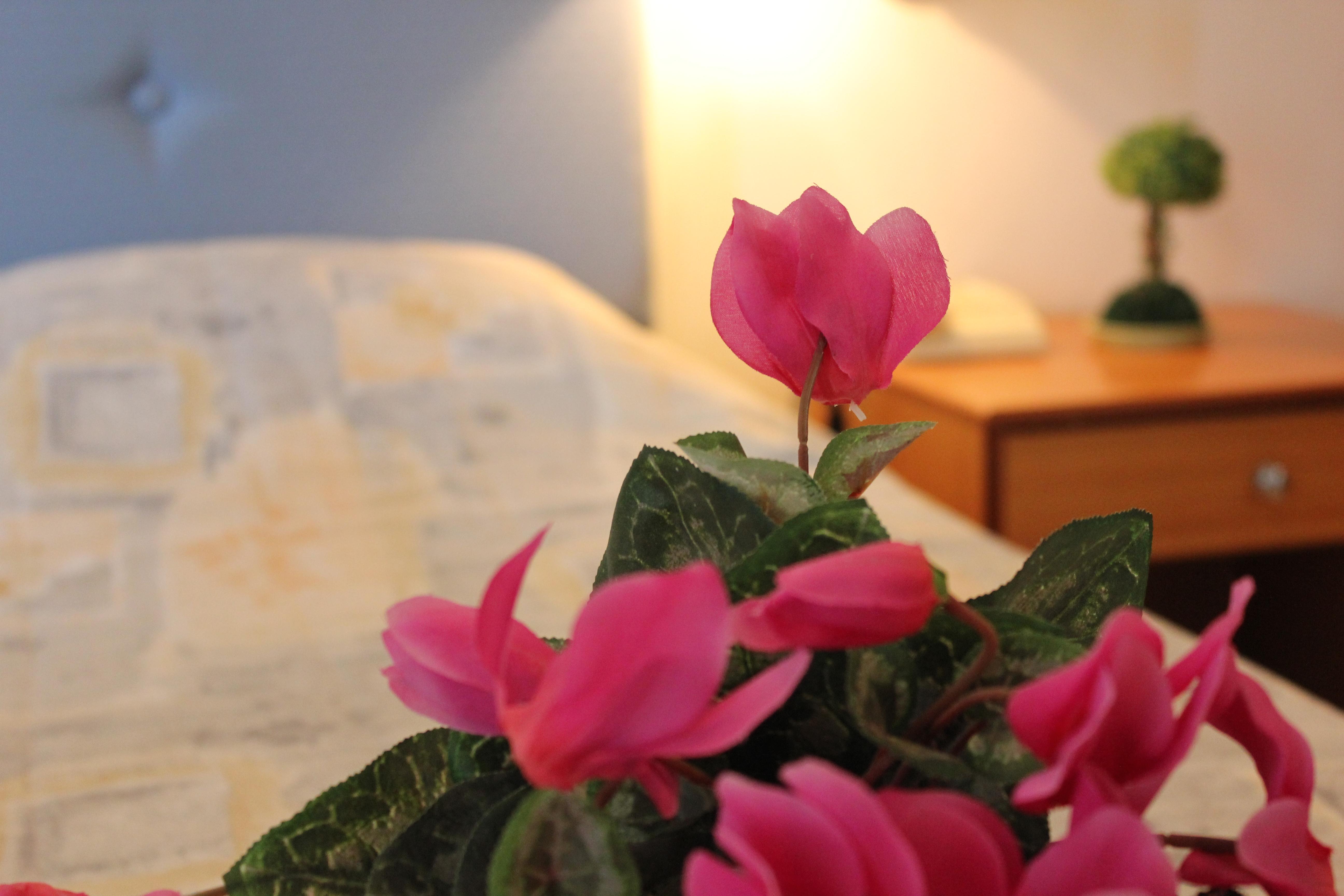 Filmar Hotel, Ixia, Rhodes Экстерьер фото
